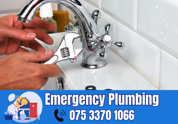  plumber Davington
