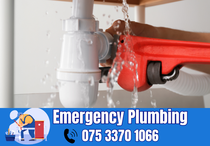  plumber Ospringe